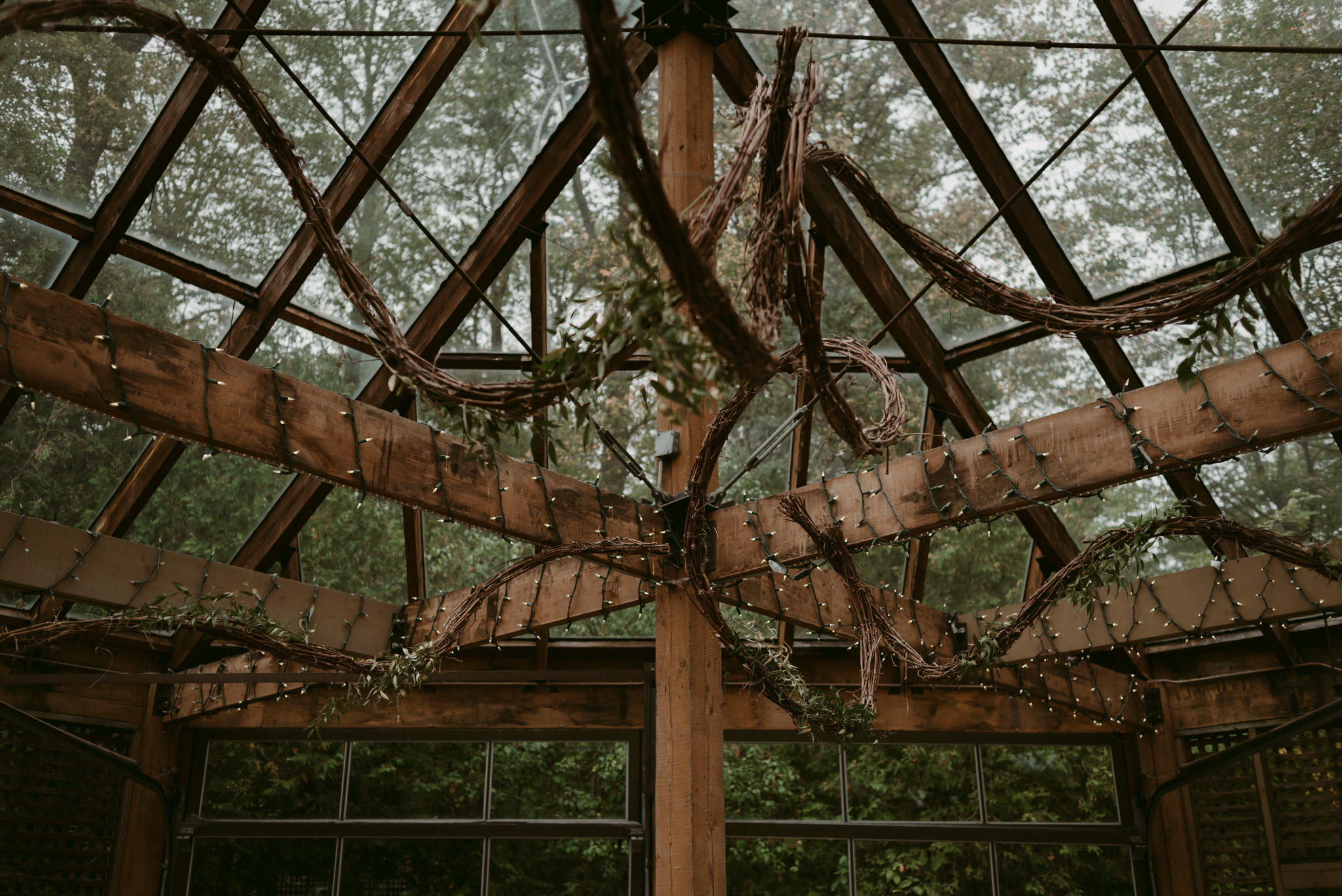 Wooden beams covered in vines and string lights for wedding reception at Kortright Centre for Conservation