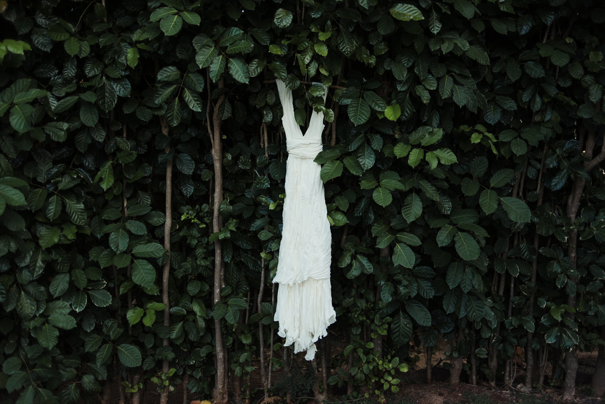 Dress hanging on living greenery wall