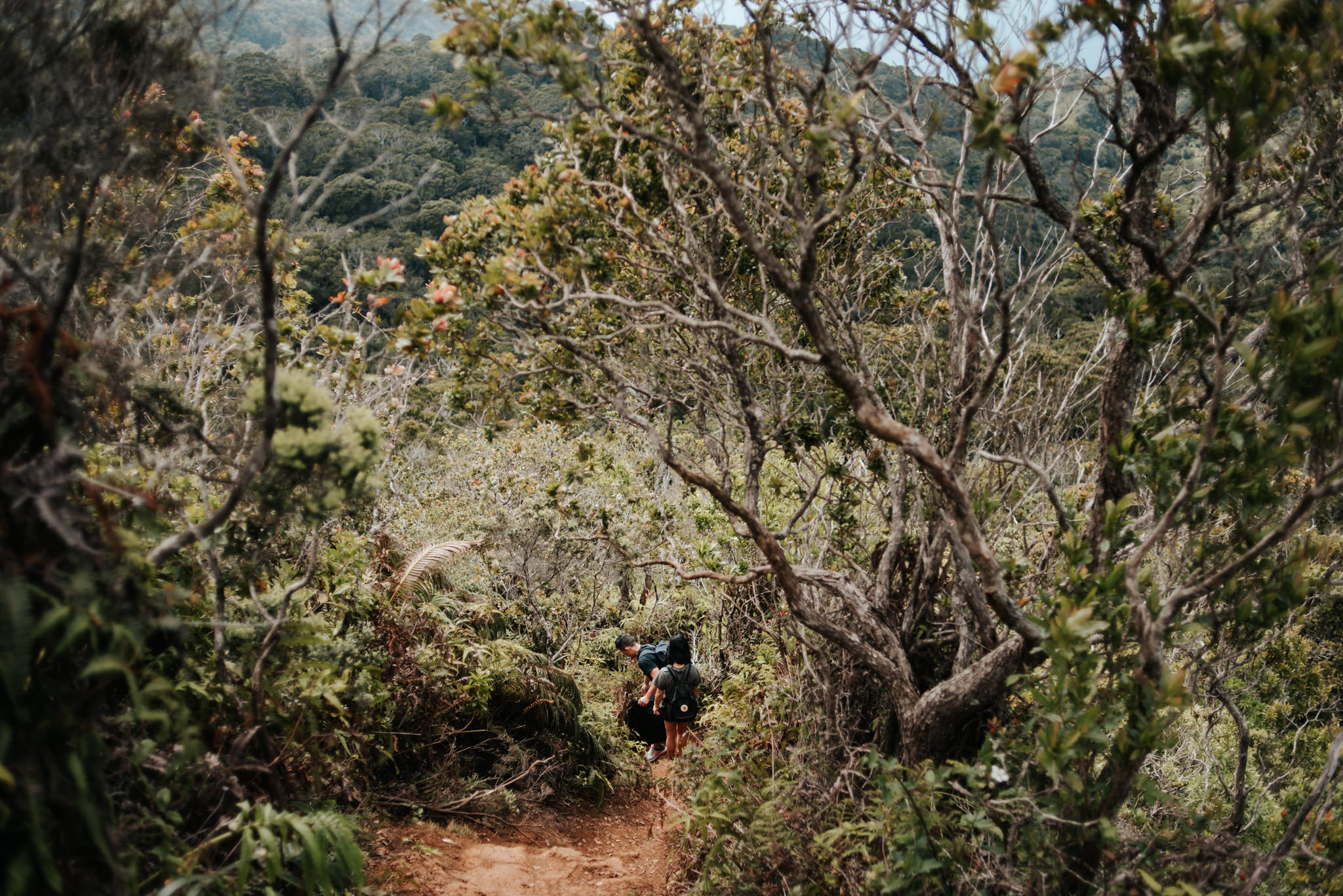 couple hiking in kokee state park