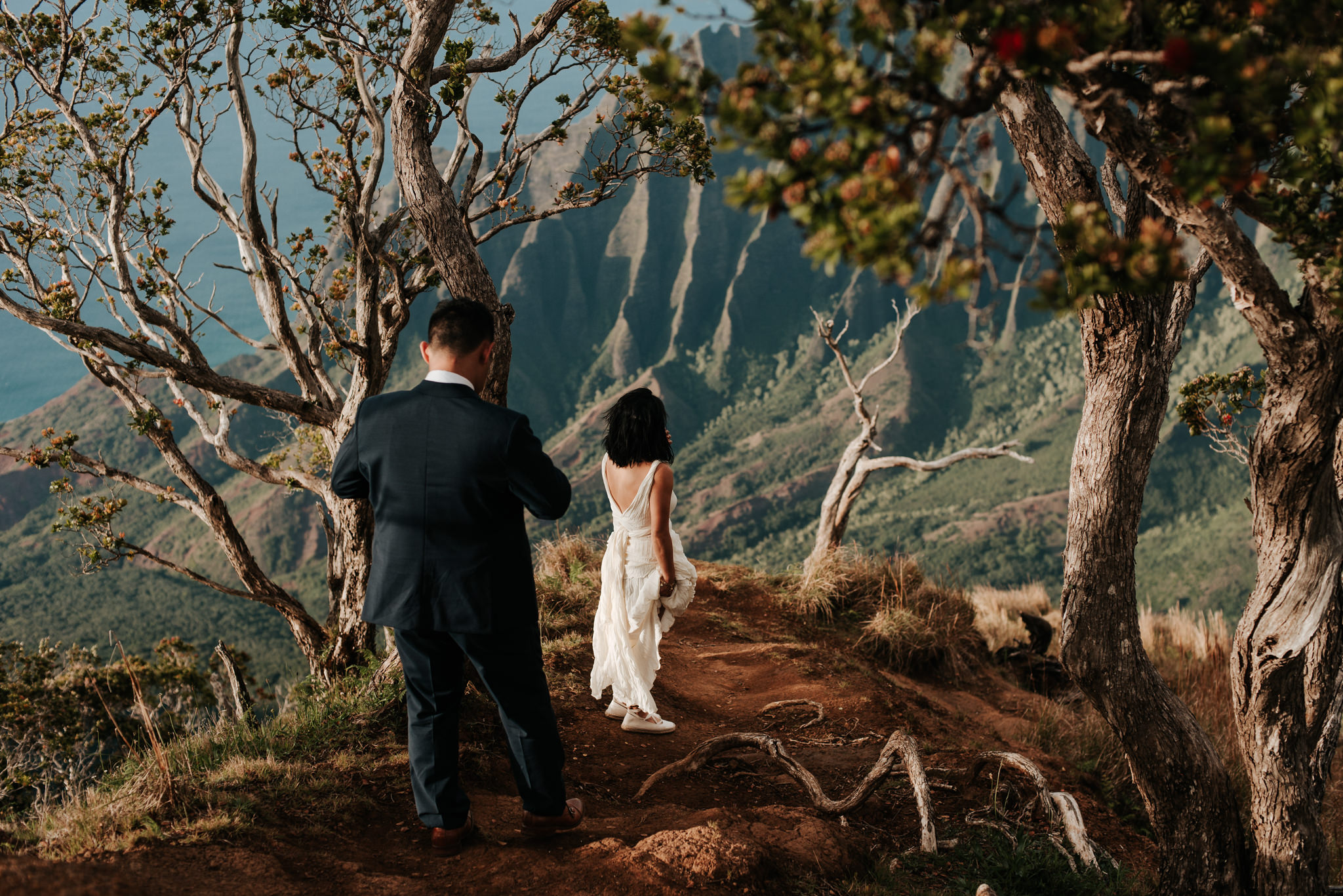 bride and groom standing with view of Na Pali coast cliffs in Kokee State Park