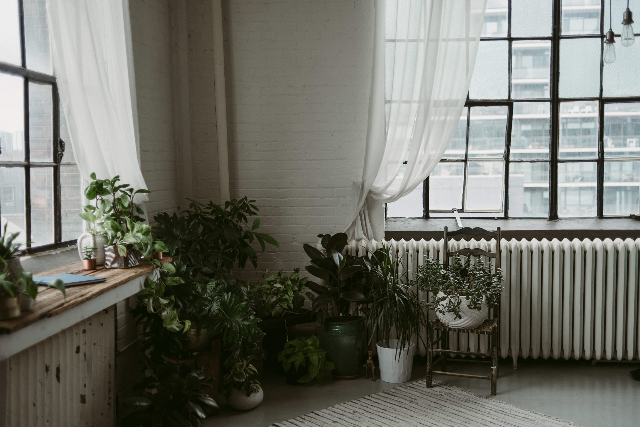 Plants and white brick walls in loft with large windows