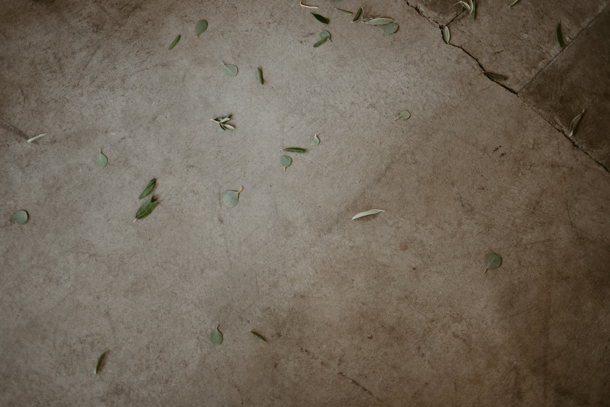 leaves on concrete floor