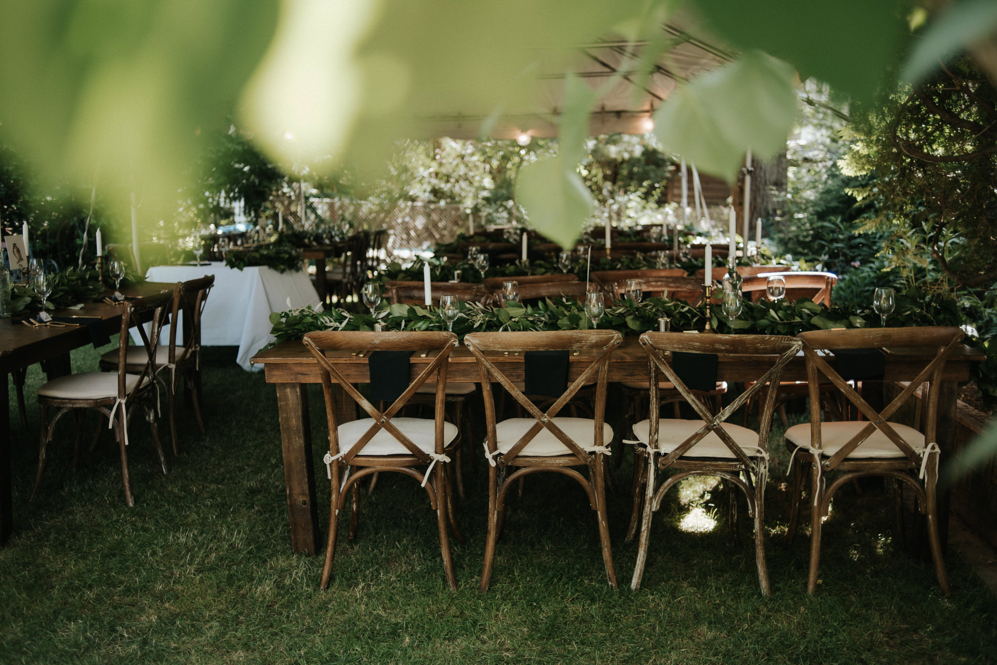 Intimate Backyard Wedding in Toronto