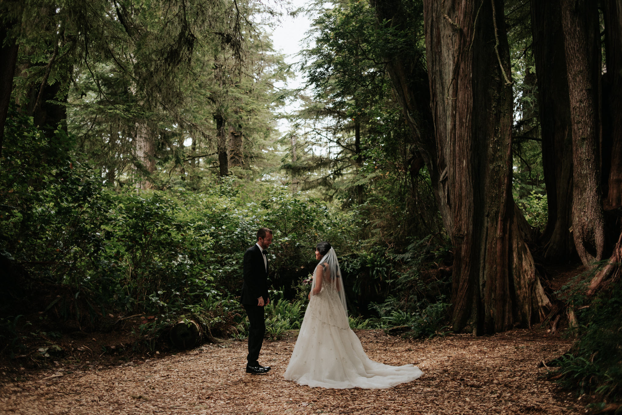 redwood grove at Wickaninnish Inn wedding