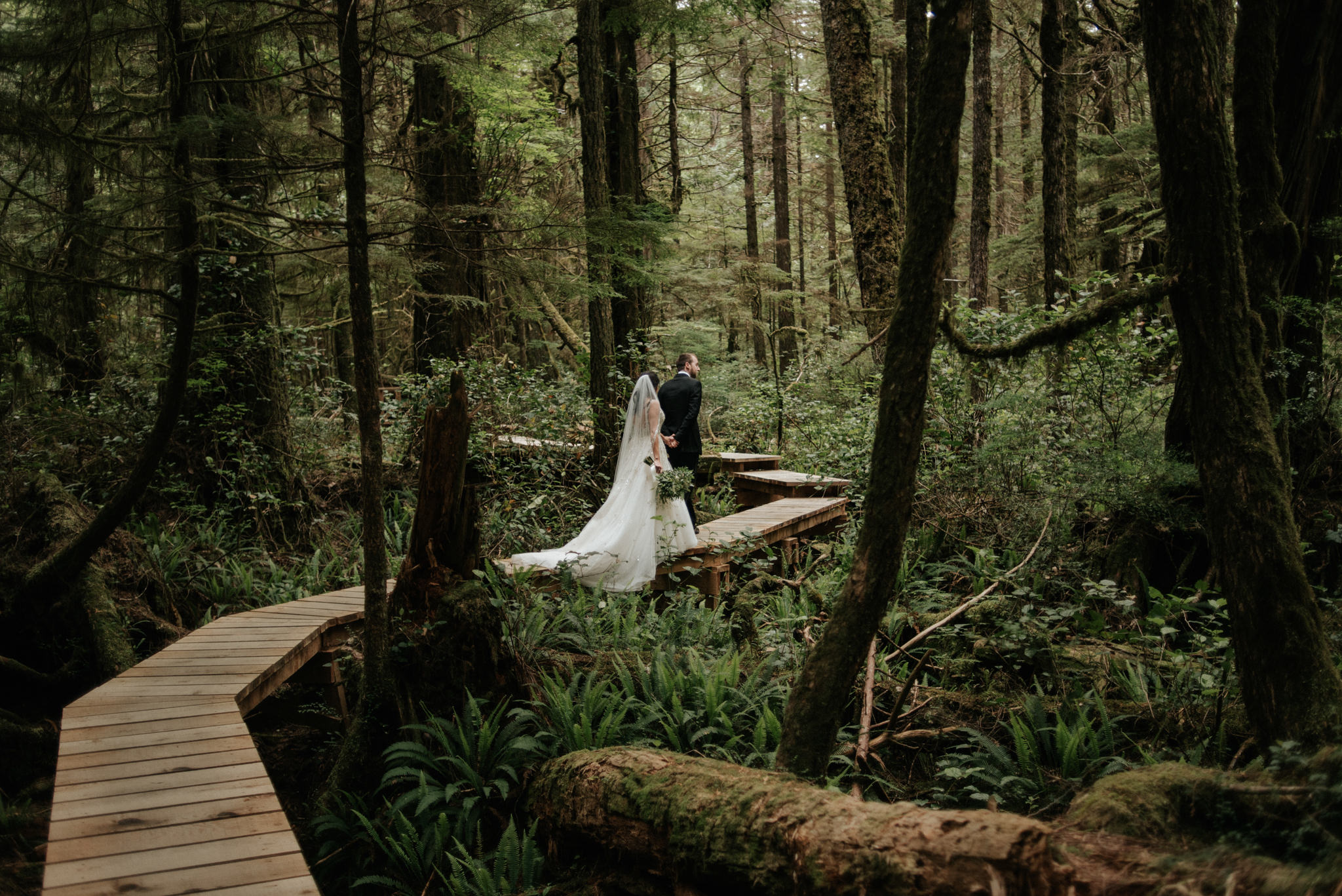 Pacific Rim National Park Wedding portraits