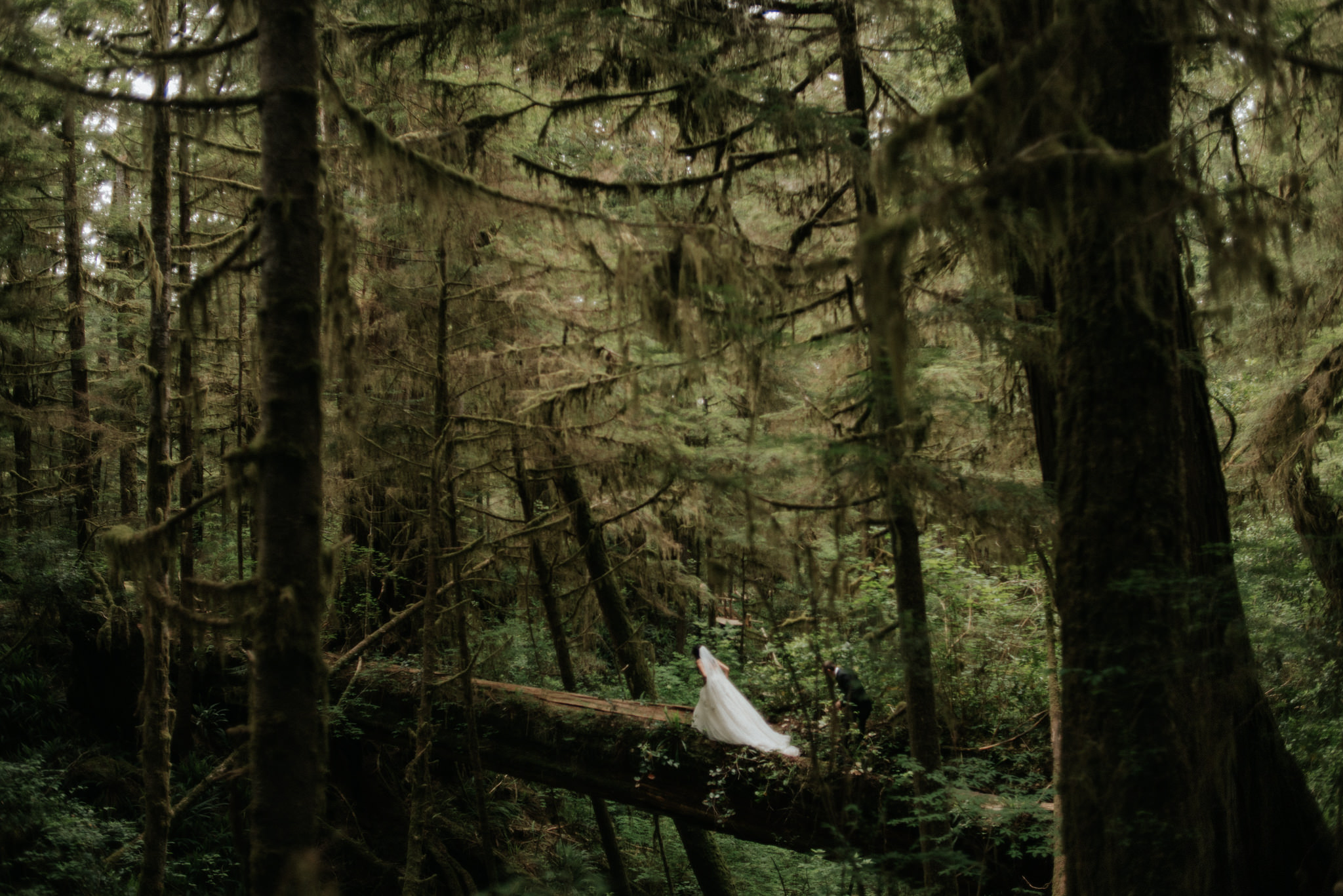 Bride in the forest