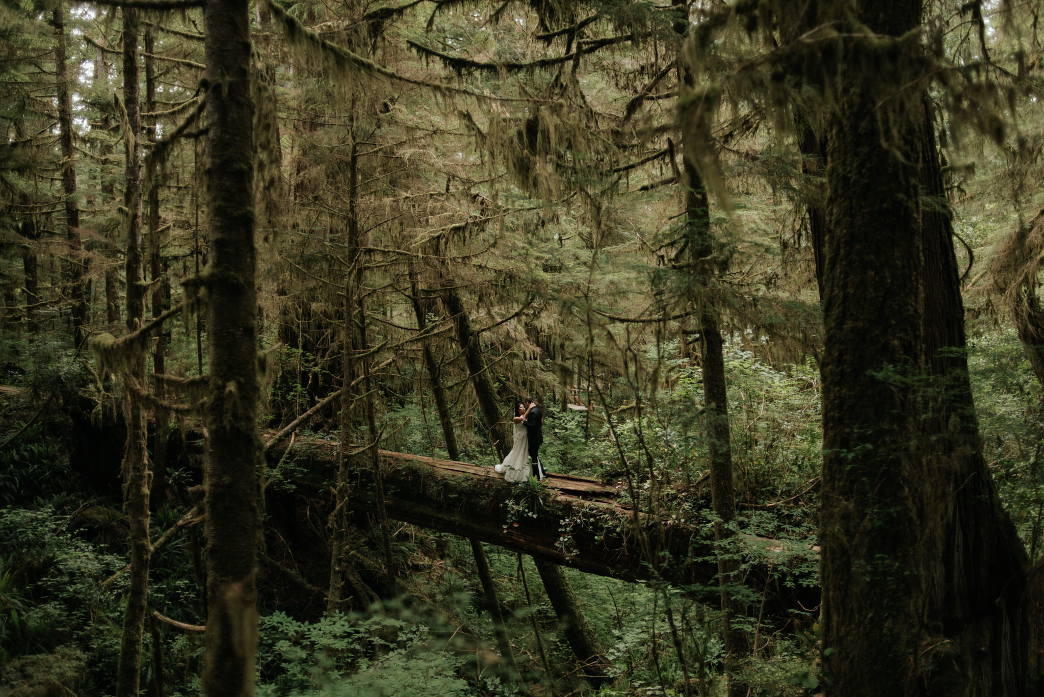 Vancouver Island elopement portraits