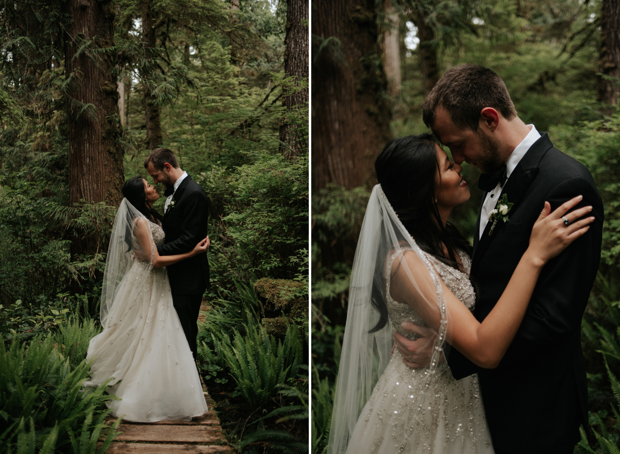 Pacific Rim National Park Wedding portraits, Tofino elopement