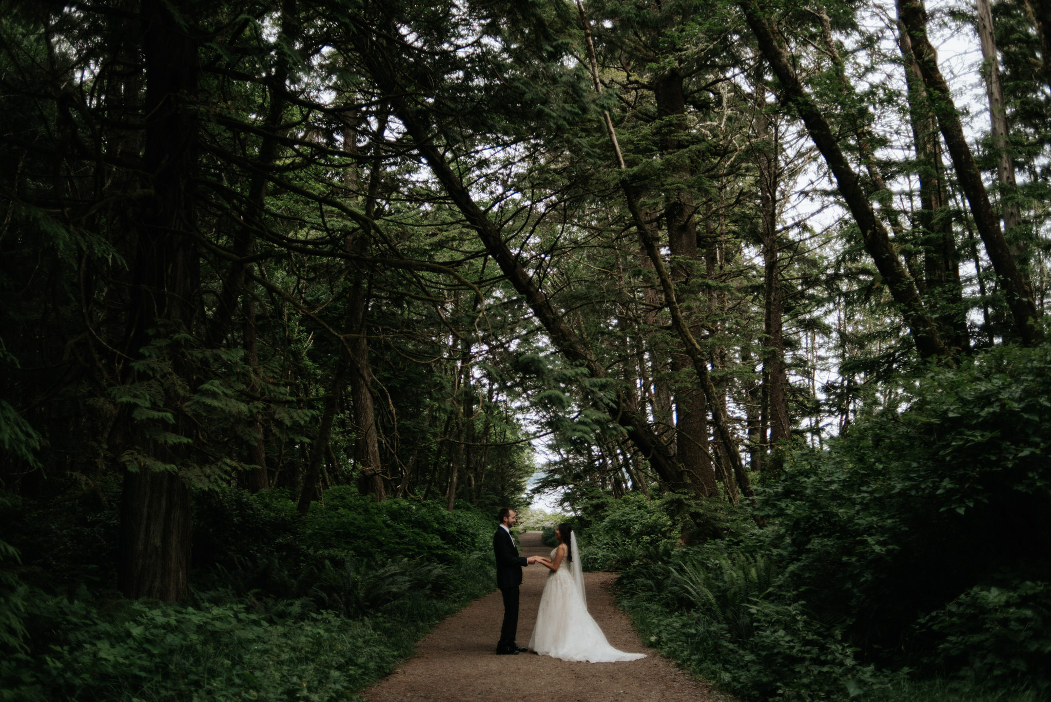 Pacific Rim National Park Wedding portraits, Tofino elopement