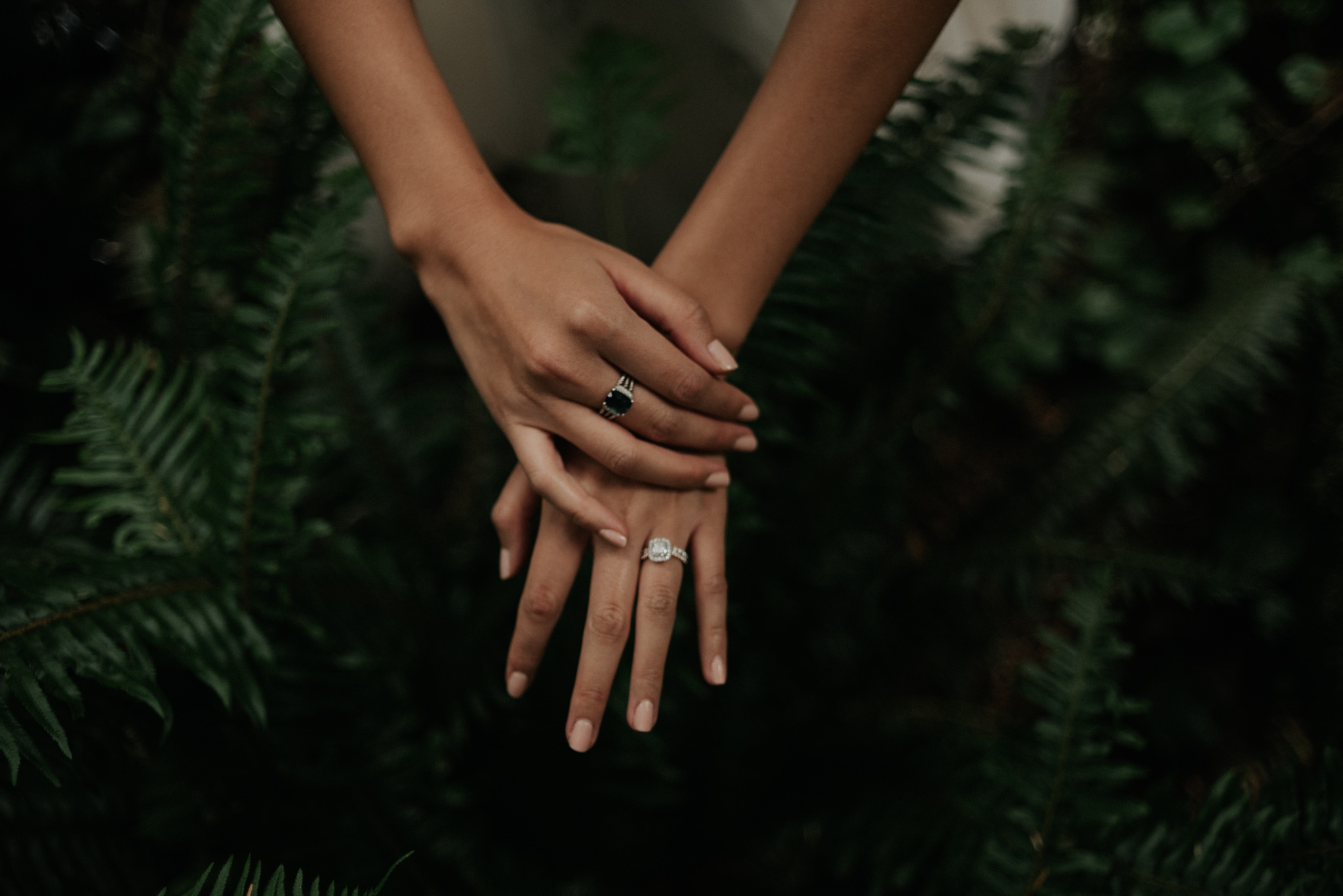 brides hands over ferns in forest