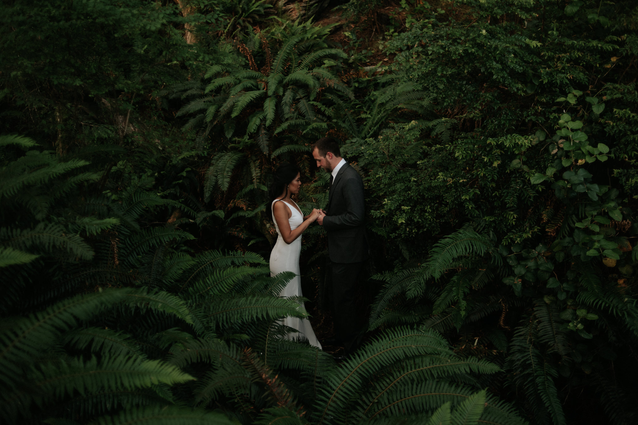 couple standing in forest of ferns in Tofino on wedding day