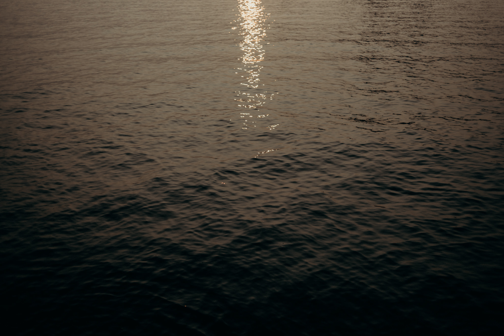 Couple in water overlooking Toronto