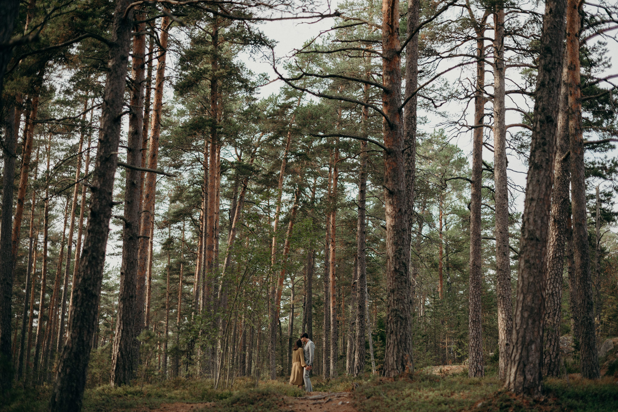 Couple in forest full of pine trees in Finland
