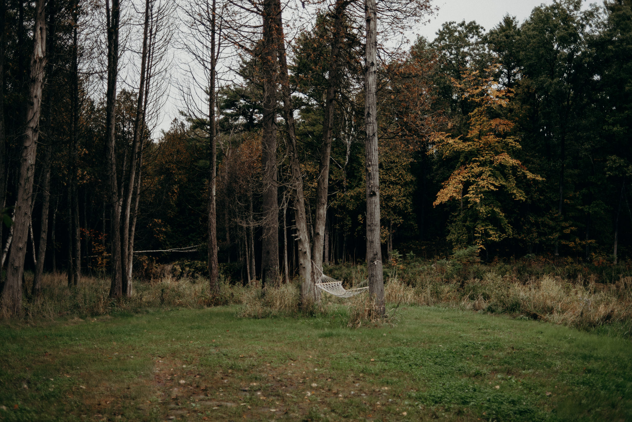 Hammock between two trees in woods in the fall