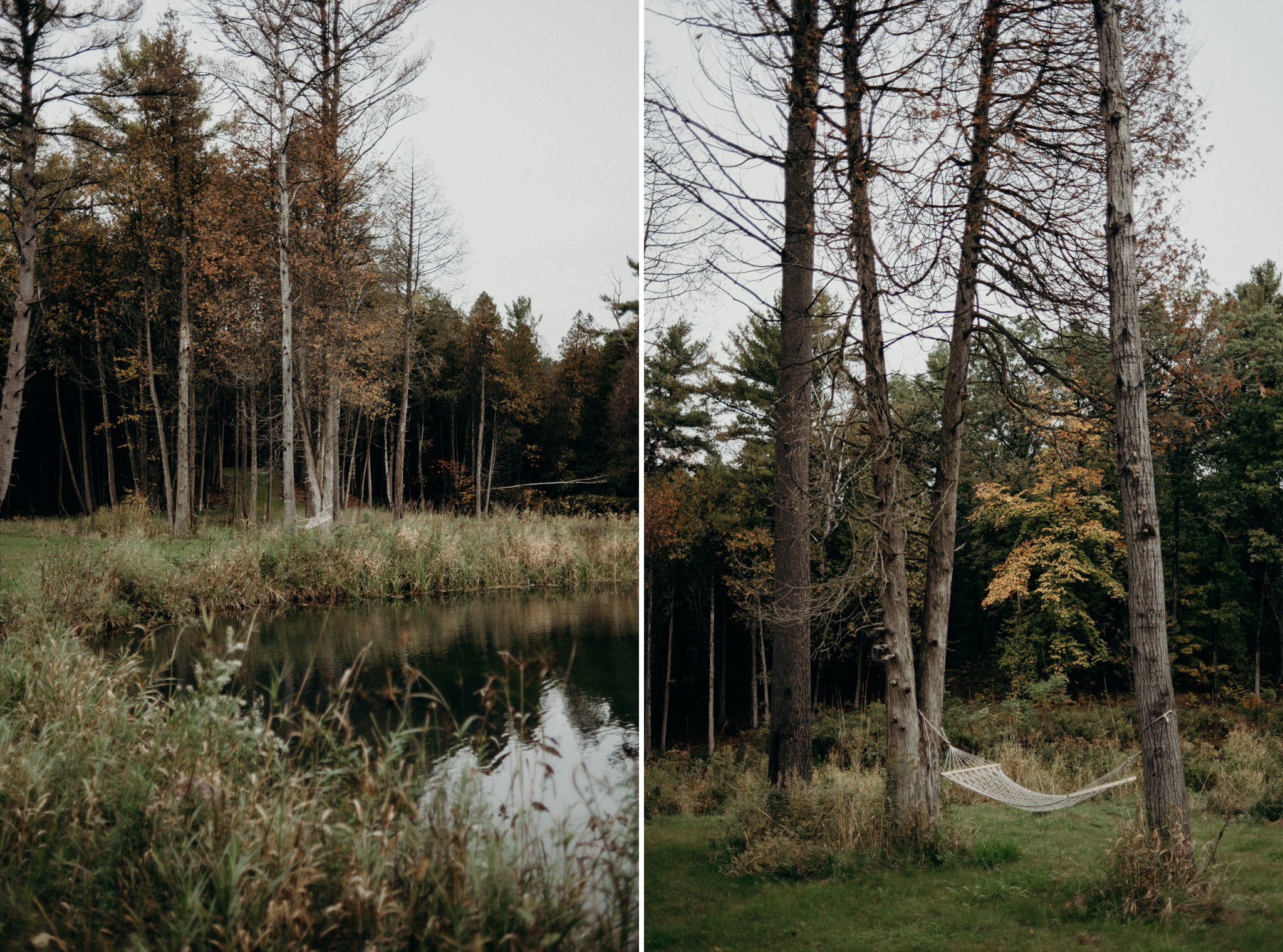 Hammock in the woods in the fall