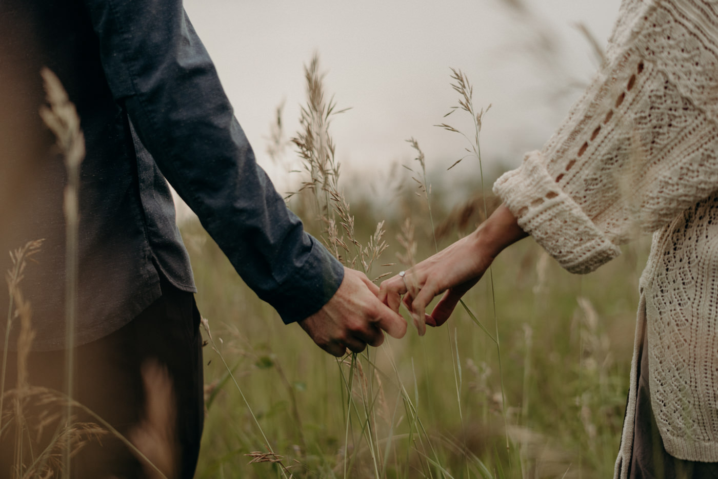 couple holding hands in tall grass