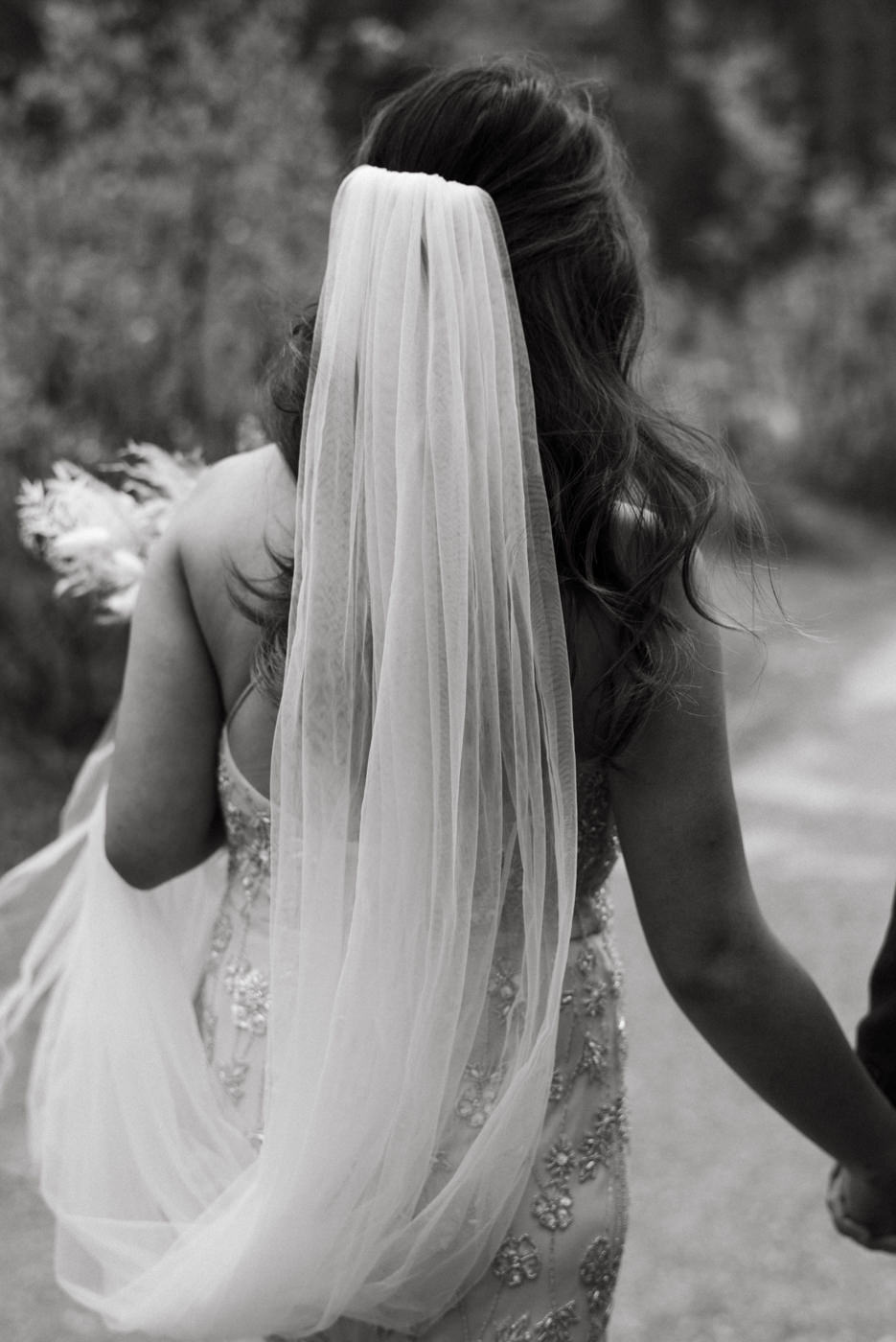 bride walking in veil and holding grooms hand, national park elopement