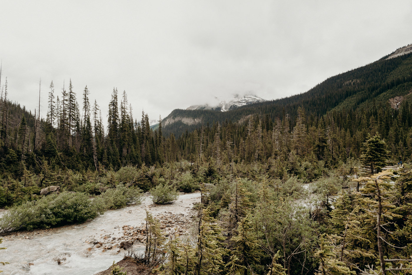 Banff National Park Elopement at Peyto Lake - Daring Wanderer