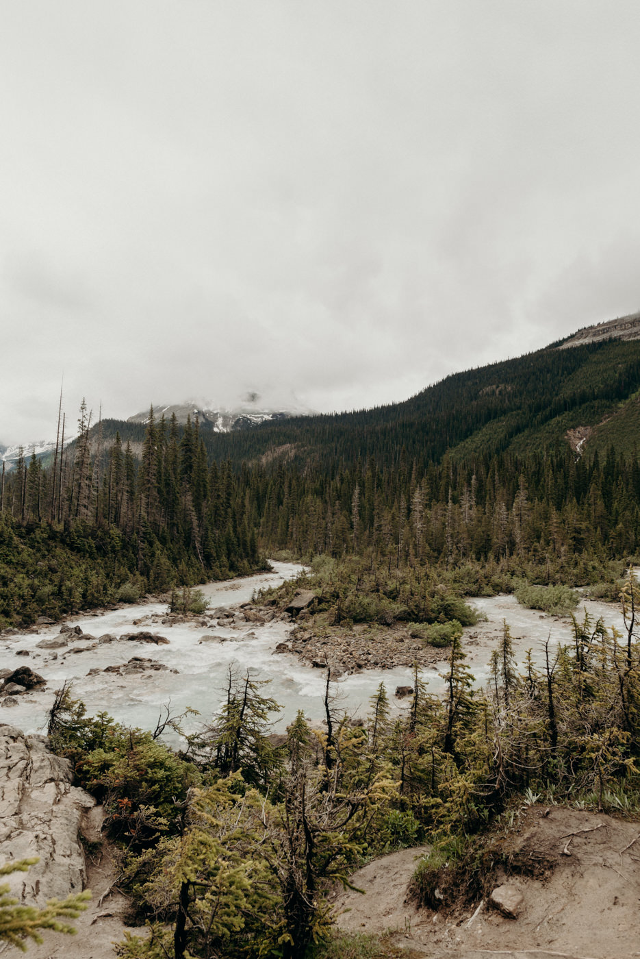 Banff National Park Elopement at Peyto Lake - Daring Wanderer