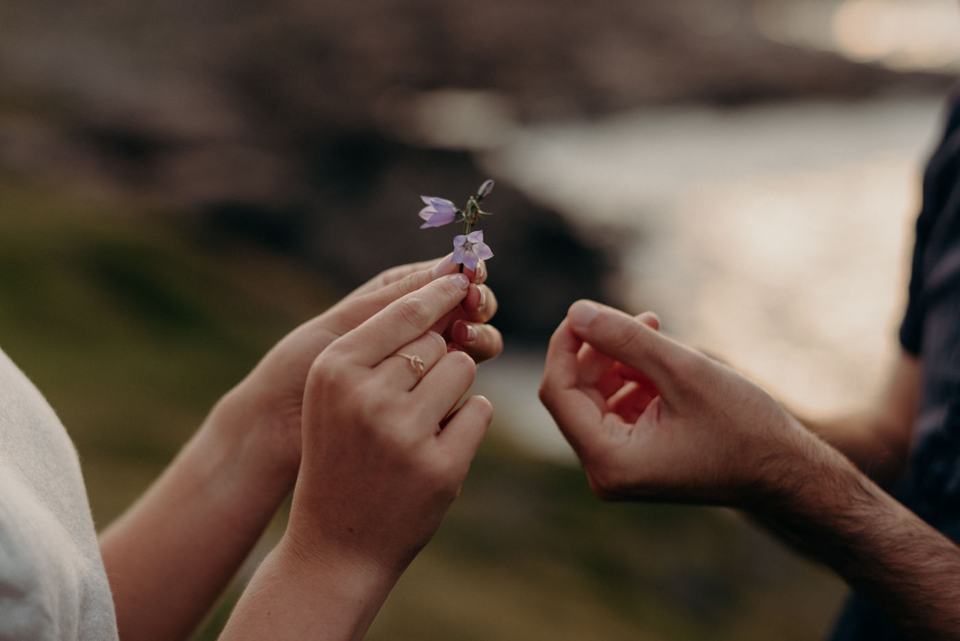 couple hanging wildflowers to eachother