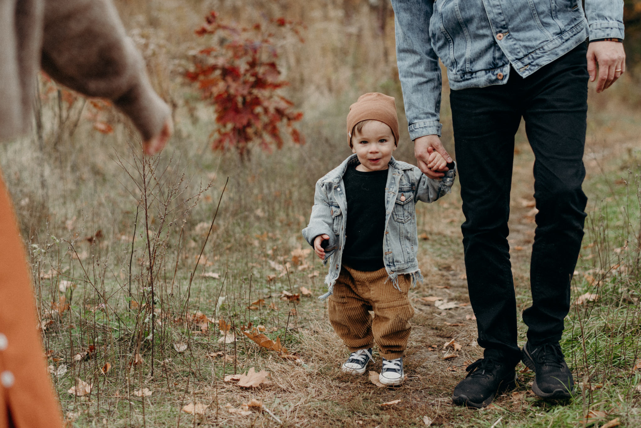 High Park Family Portraits