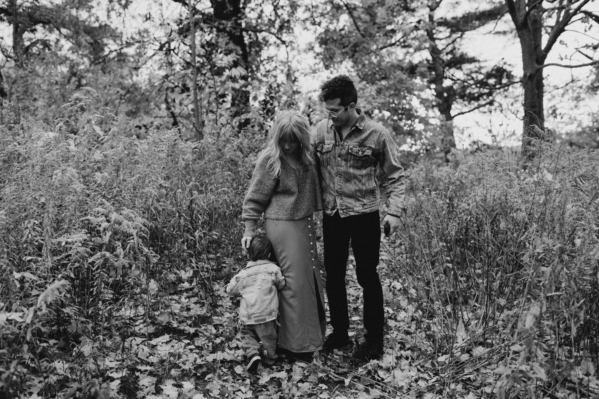 High Park Family Portraits