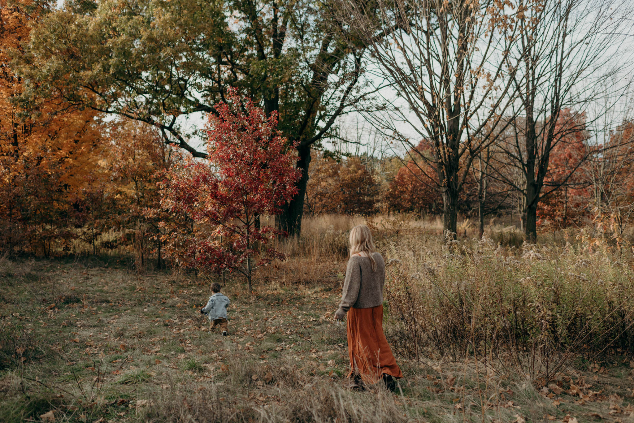 High Park Family Portraits