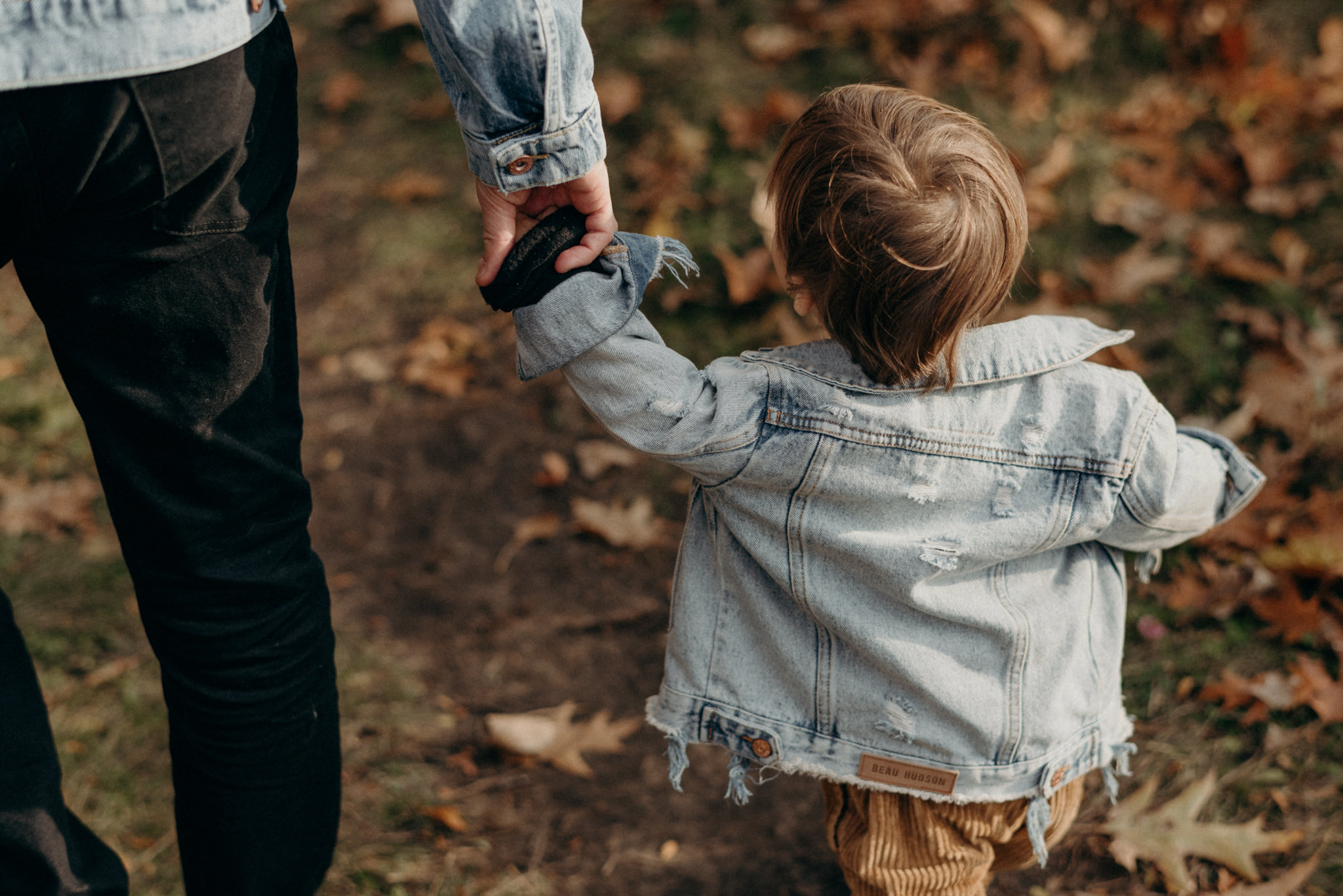 High Park Family Portraits