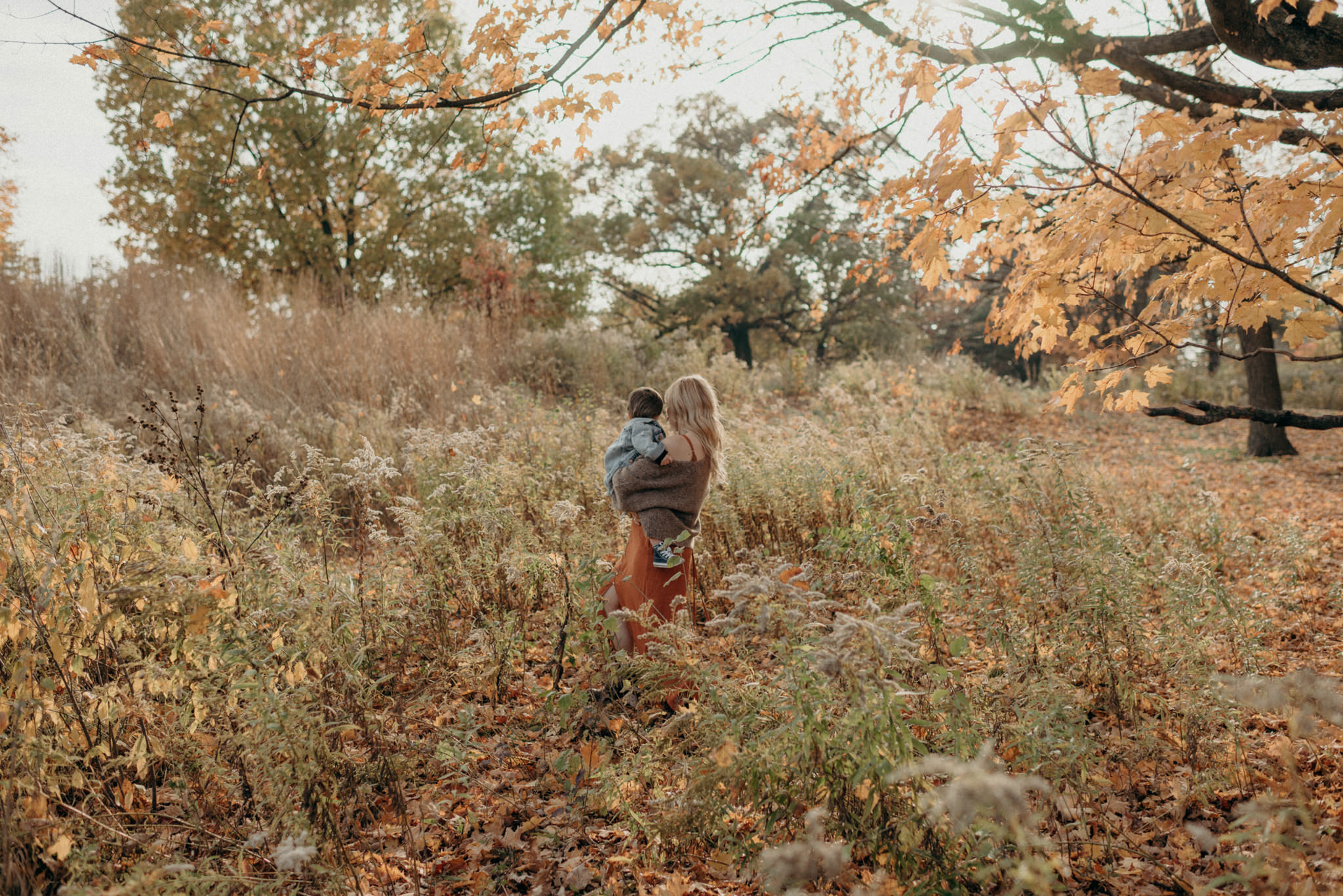 High Park Family Portraits