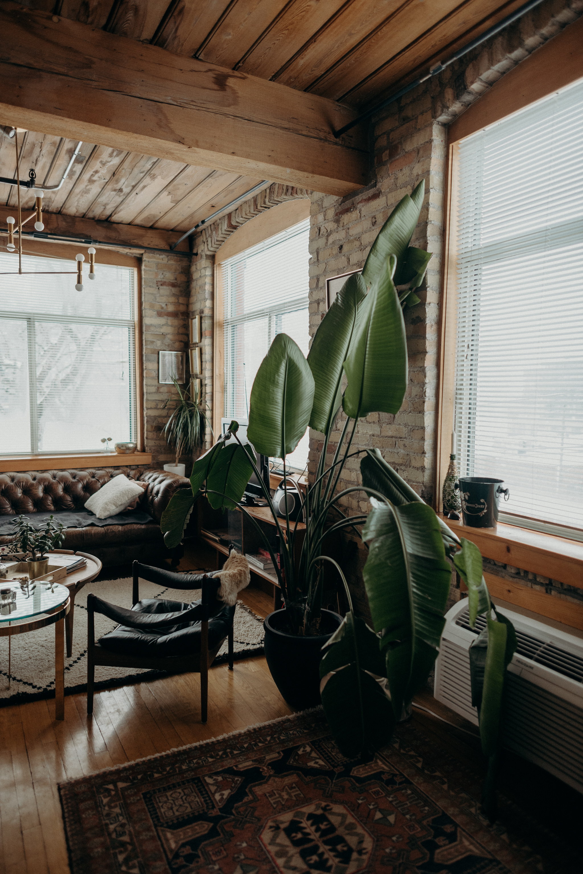 large palm leaf in hip loft