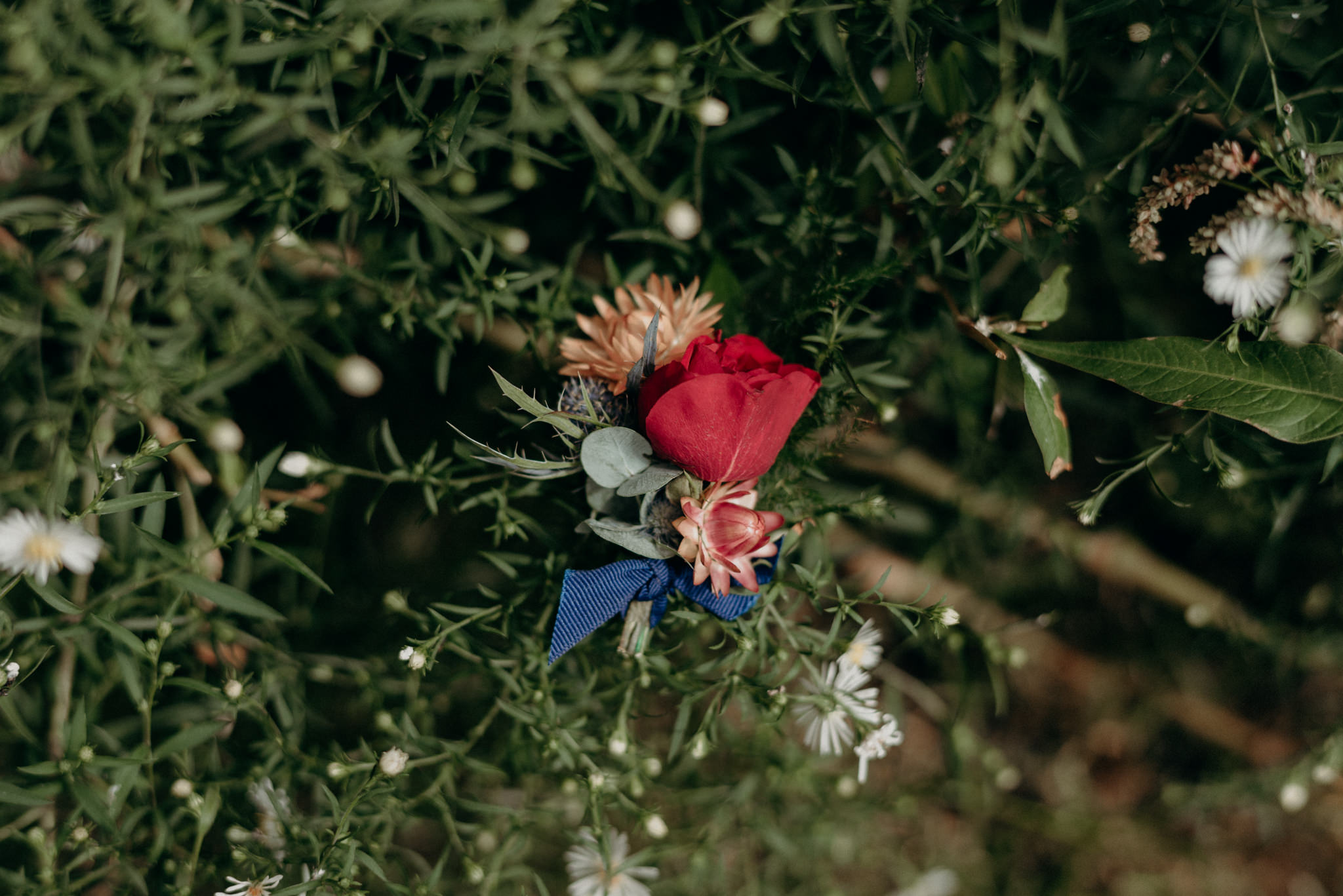 boutonniere in pink and blush tones