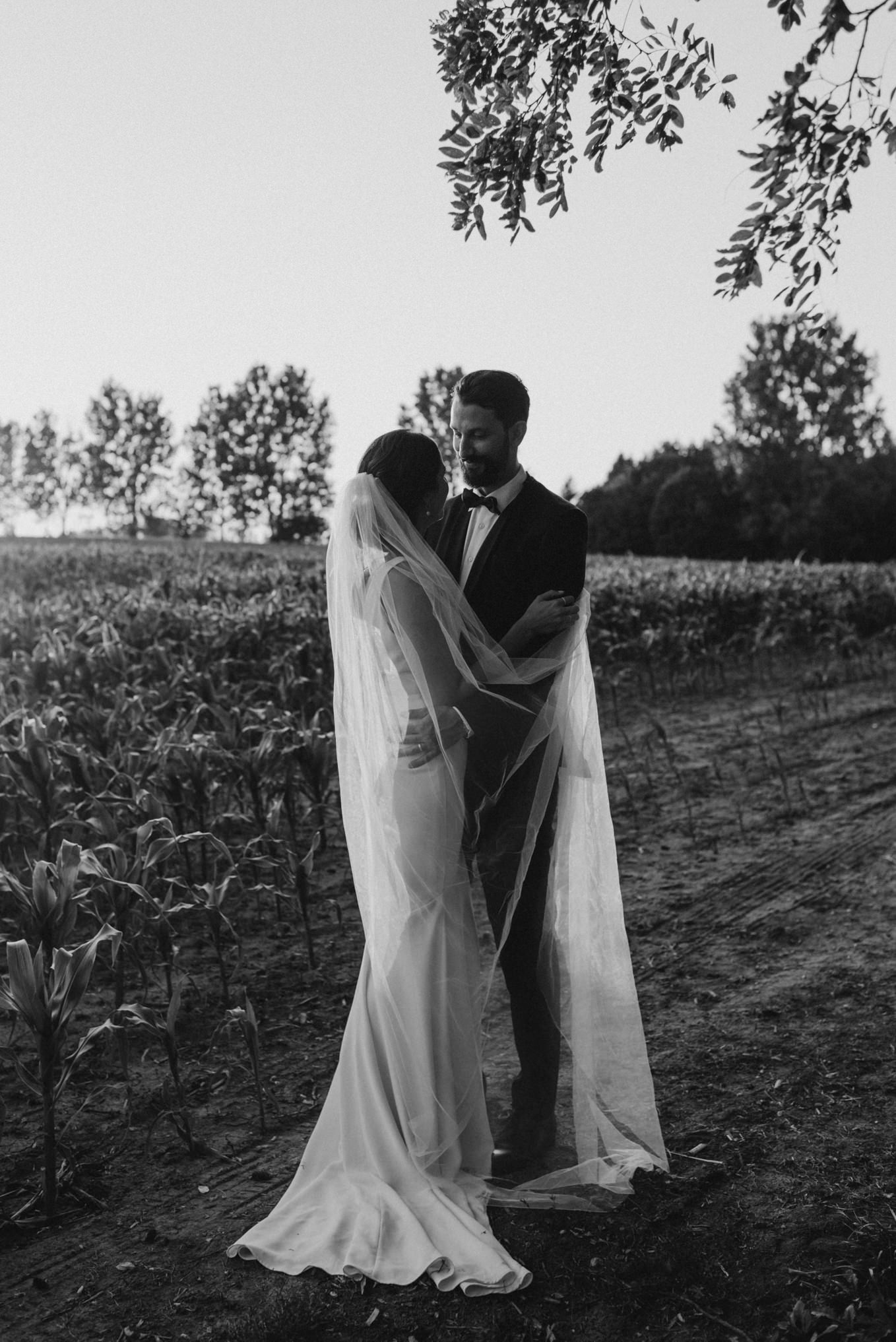 classic veil in sun wedding portrait