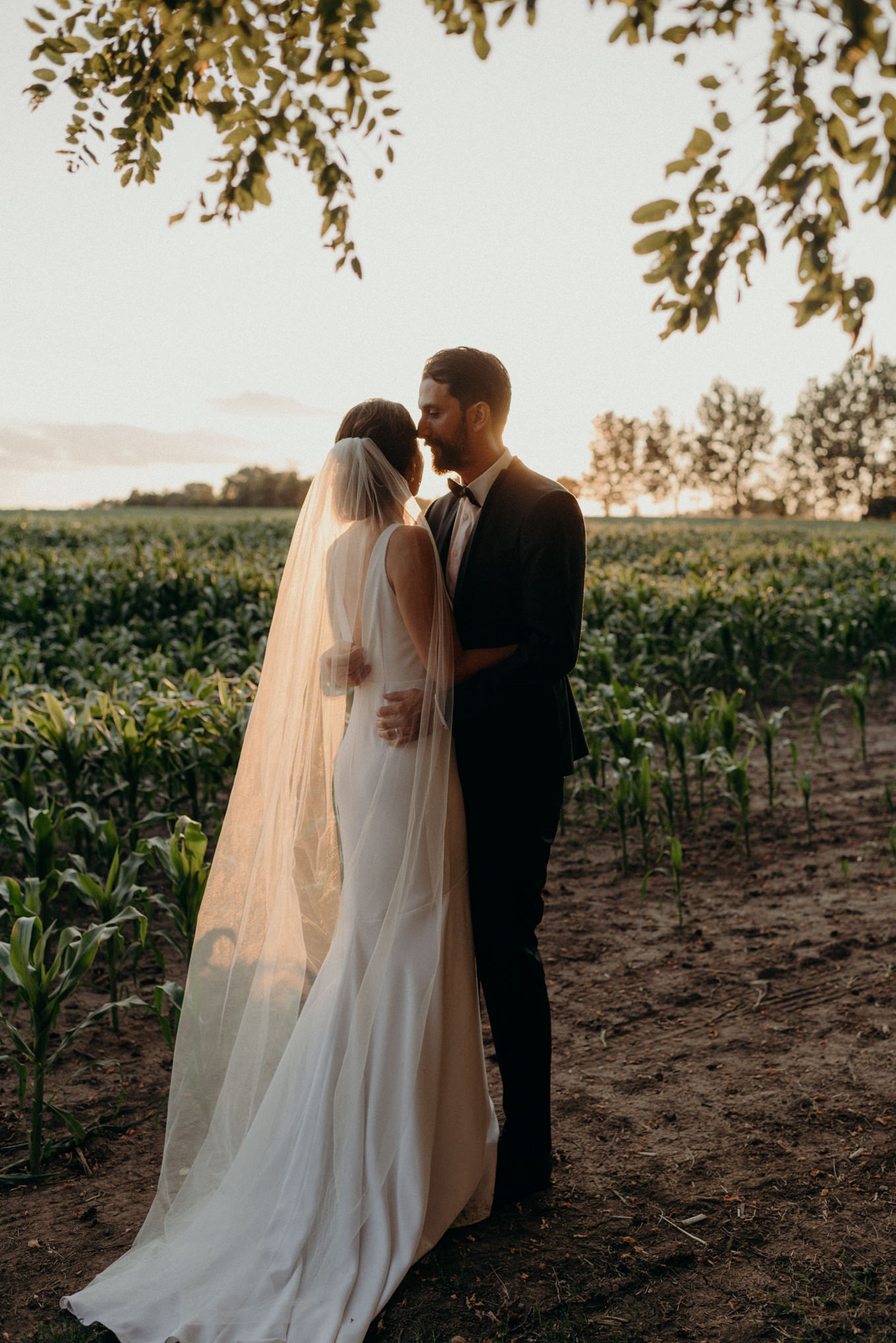 bride and groom watching sunset while hugging in a corn field