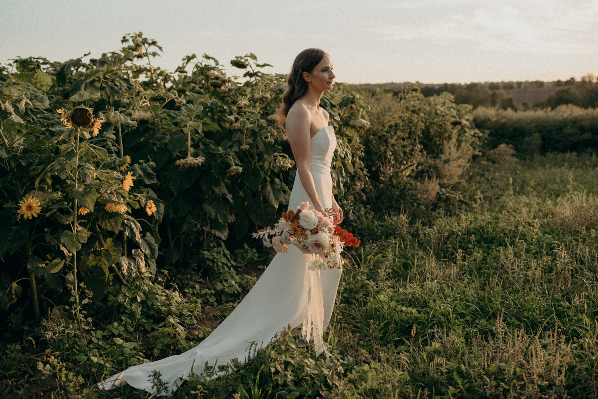 Wedding portraits in a sunflower field at sunset. Good Family Farms wedding.