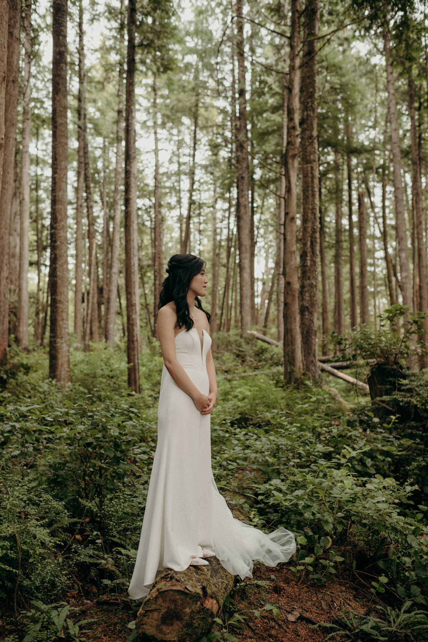 bride standing on log in forest in Tofino