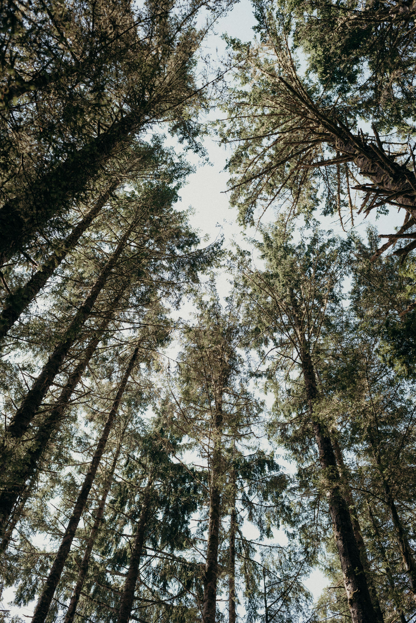 ucluelet elopement