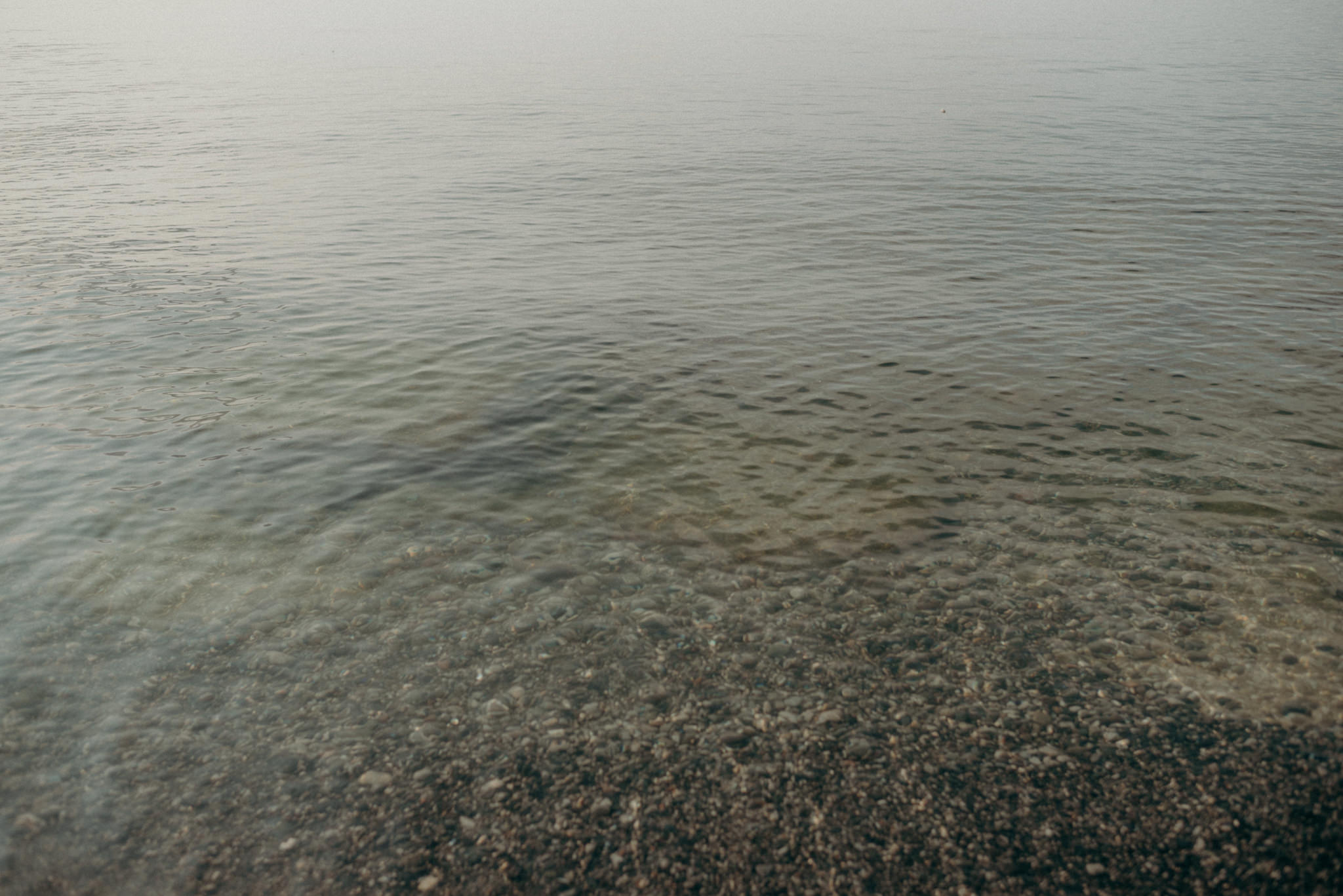 Humber Bay family portraits at sunrise on the beach