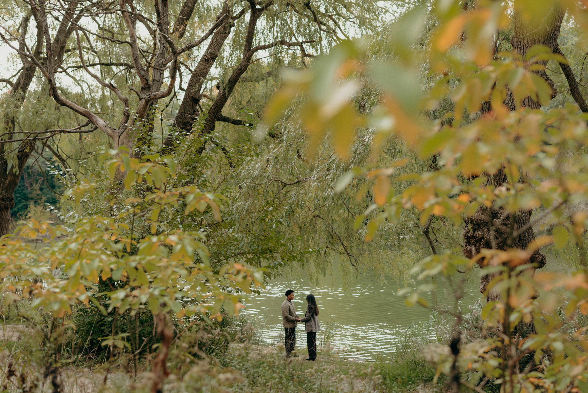 High Park Secret Proposal