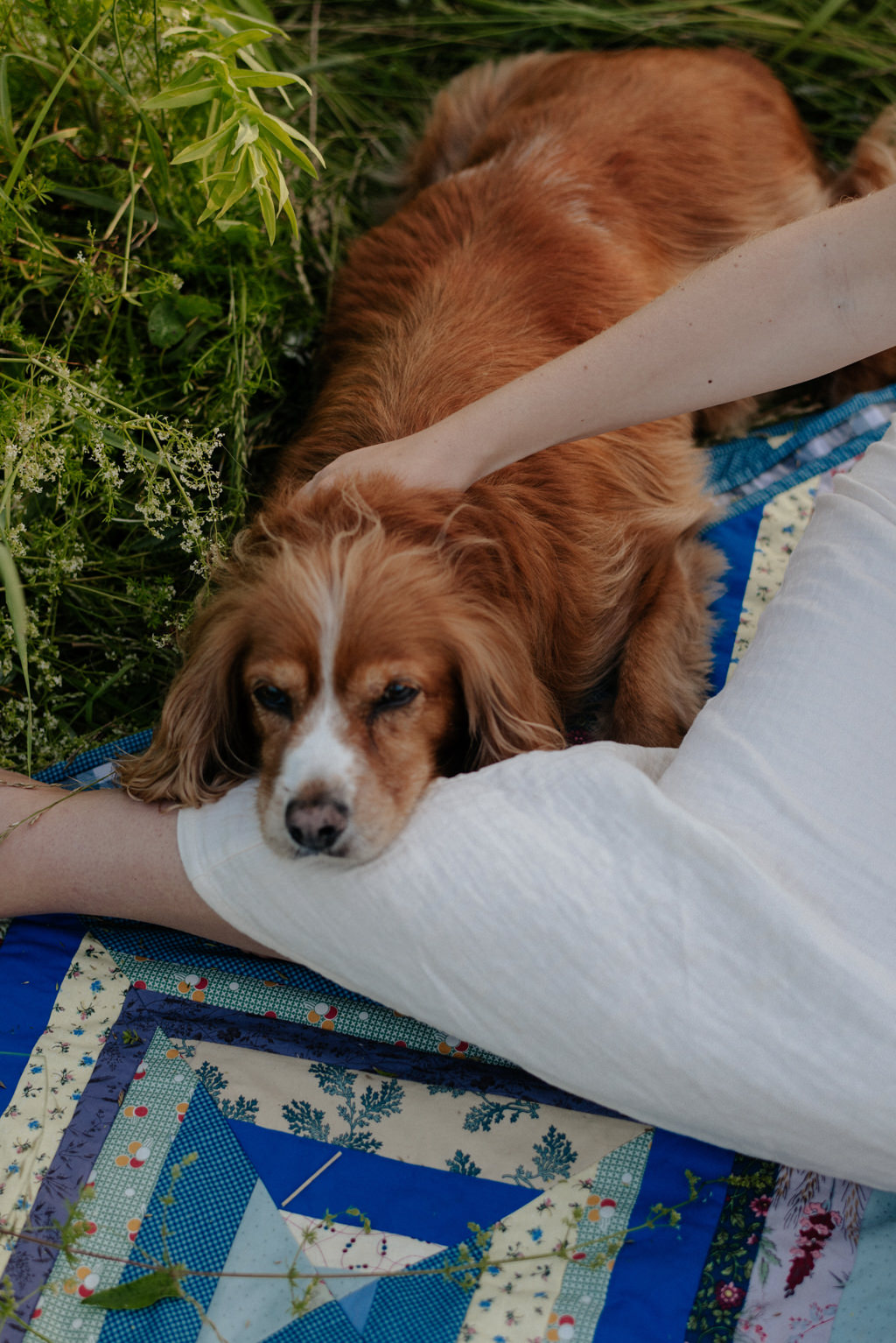 Toronto Maternity Shoot