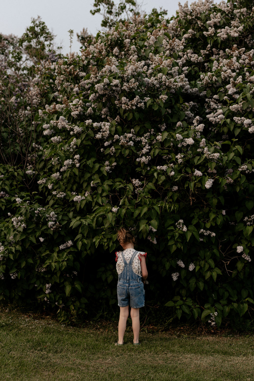 Ontario family portraits