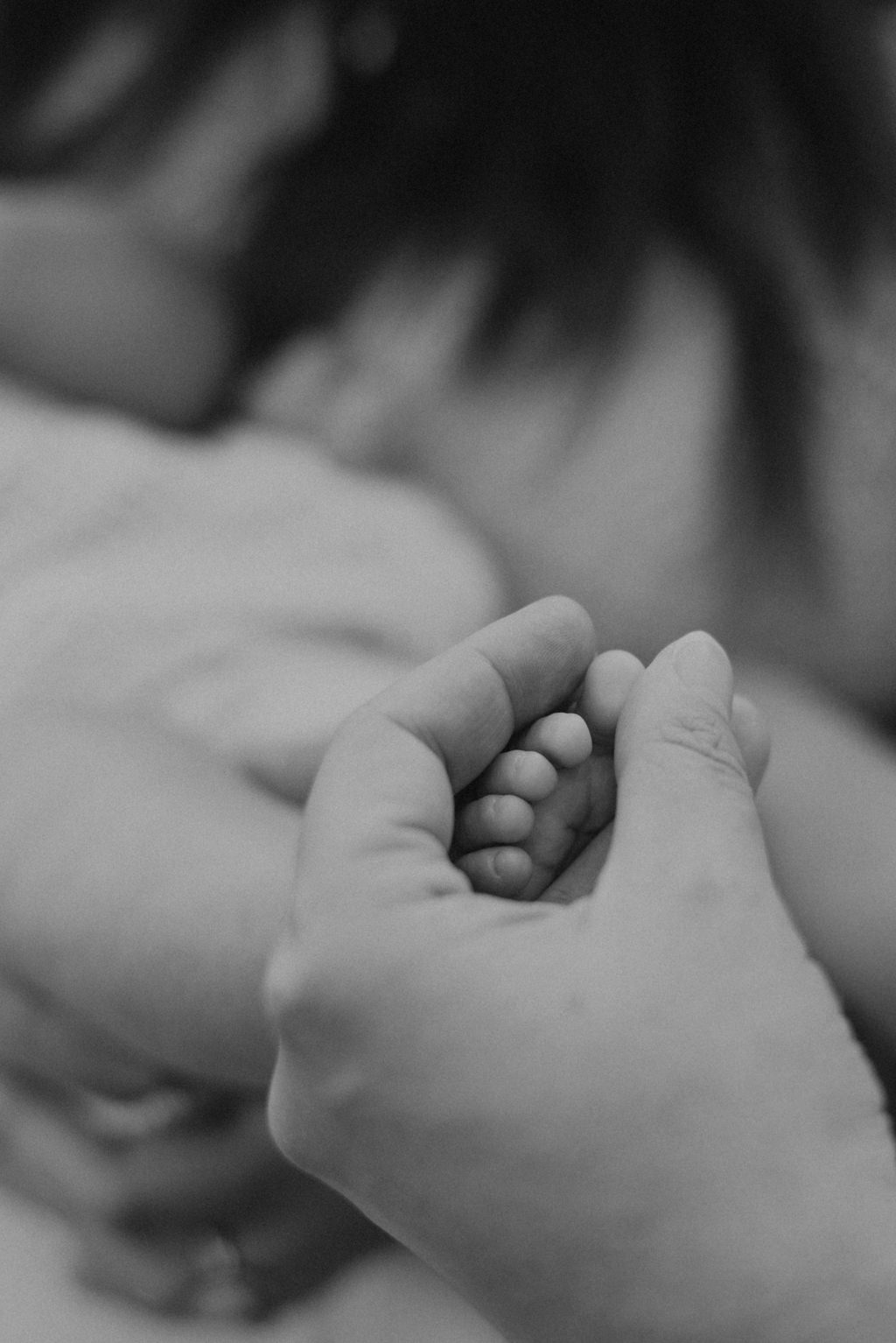 Toronto newborn shoot