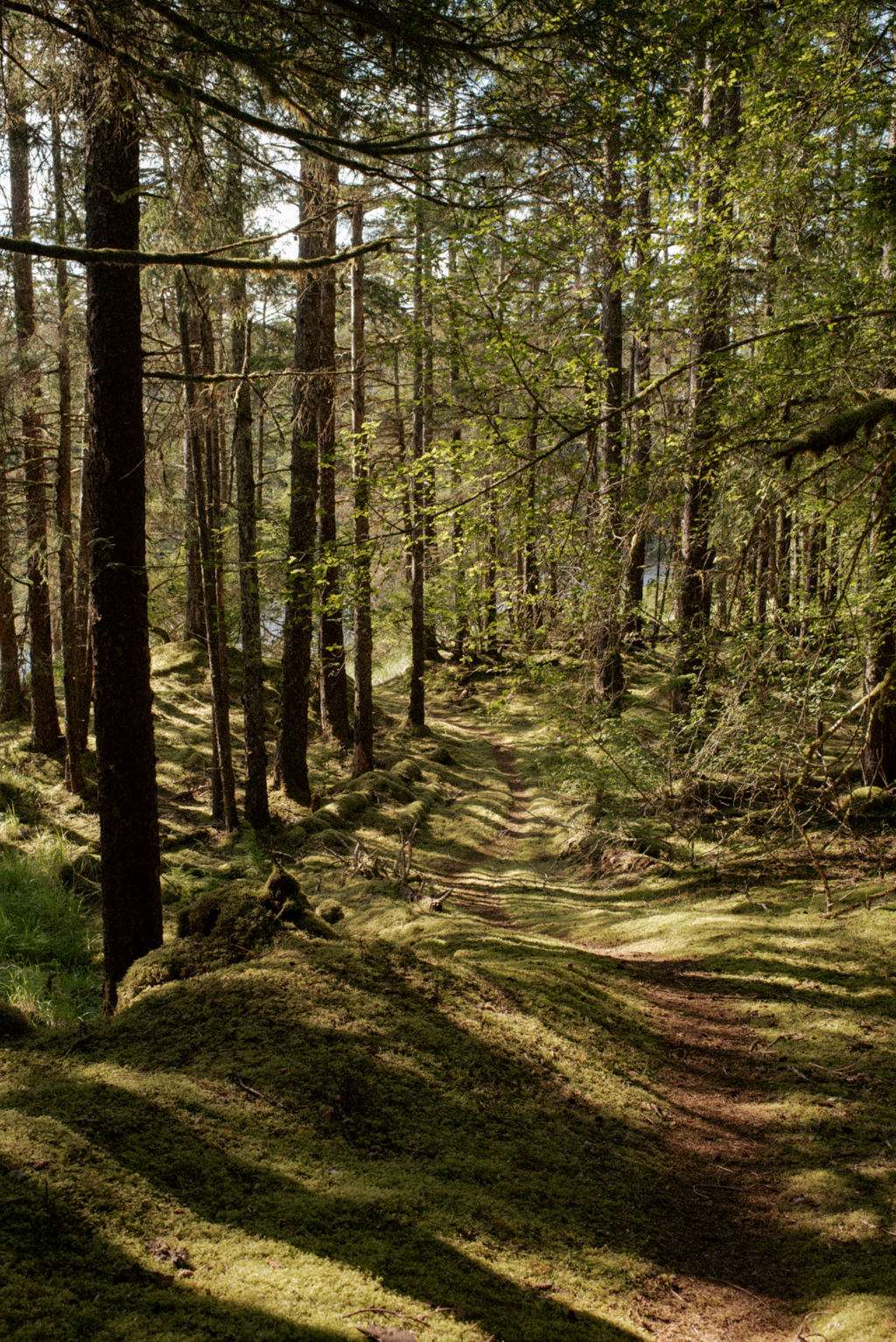 Haida Gwaii Glamping Co