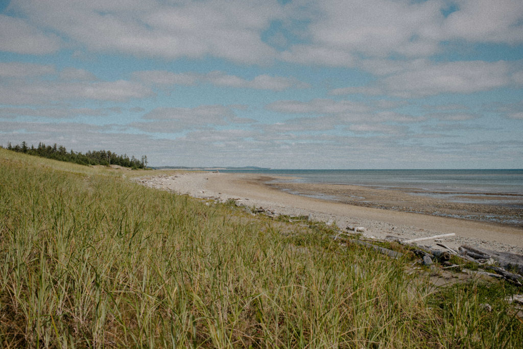 Haida Gwaii Wedding