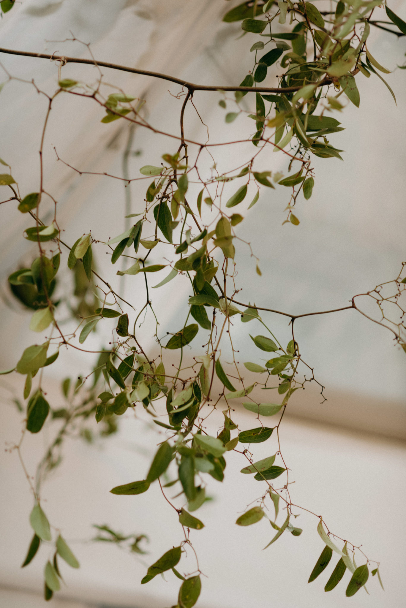Asian Graydon Hall Manor Wedding in Toronto